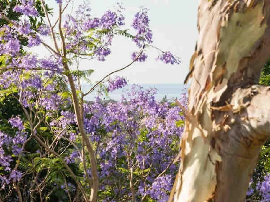 Driftwood- Hidden Gem, Great View In A Nature Setting East Ballina Australia