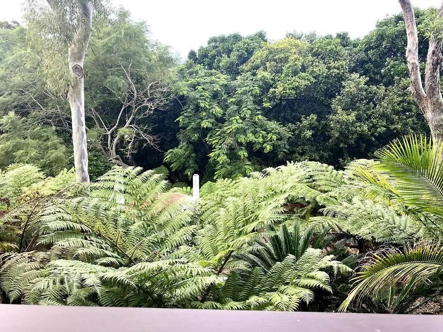 Driftwood- Hidden Gem, Great View In A Nature Setting East Ballina 0*,