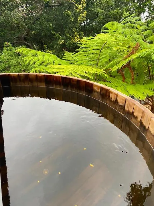 Driftwood- Hidden Gem, Great View In A Nature Setting East Ballina Australia